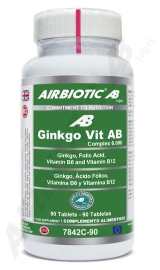 Ginkgo Vitamin 6000 90 Capsules