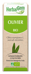 Olivier 50 ml