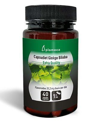 Ginkgo Biloba Capsudiet 40 Capsules