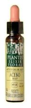 Plantis 15 Holly 10 ml