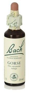 Bach 13 Gorse 20 ml