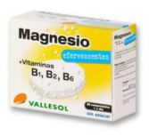 Effervescent Magnesium + B 24Comp.