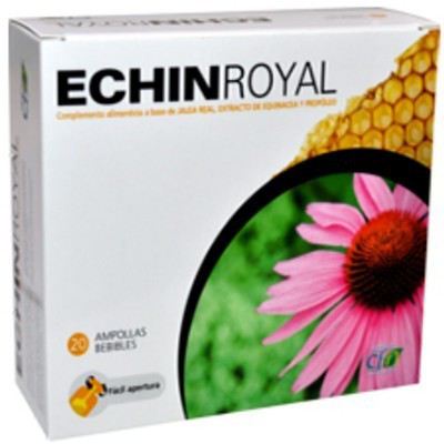 Royal Echin 20 Amp.