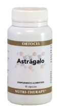 Astragalus 400 mg 90 Capsules